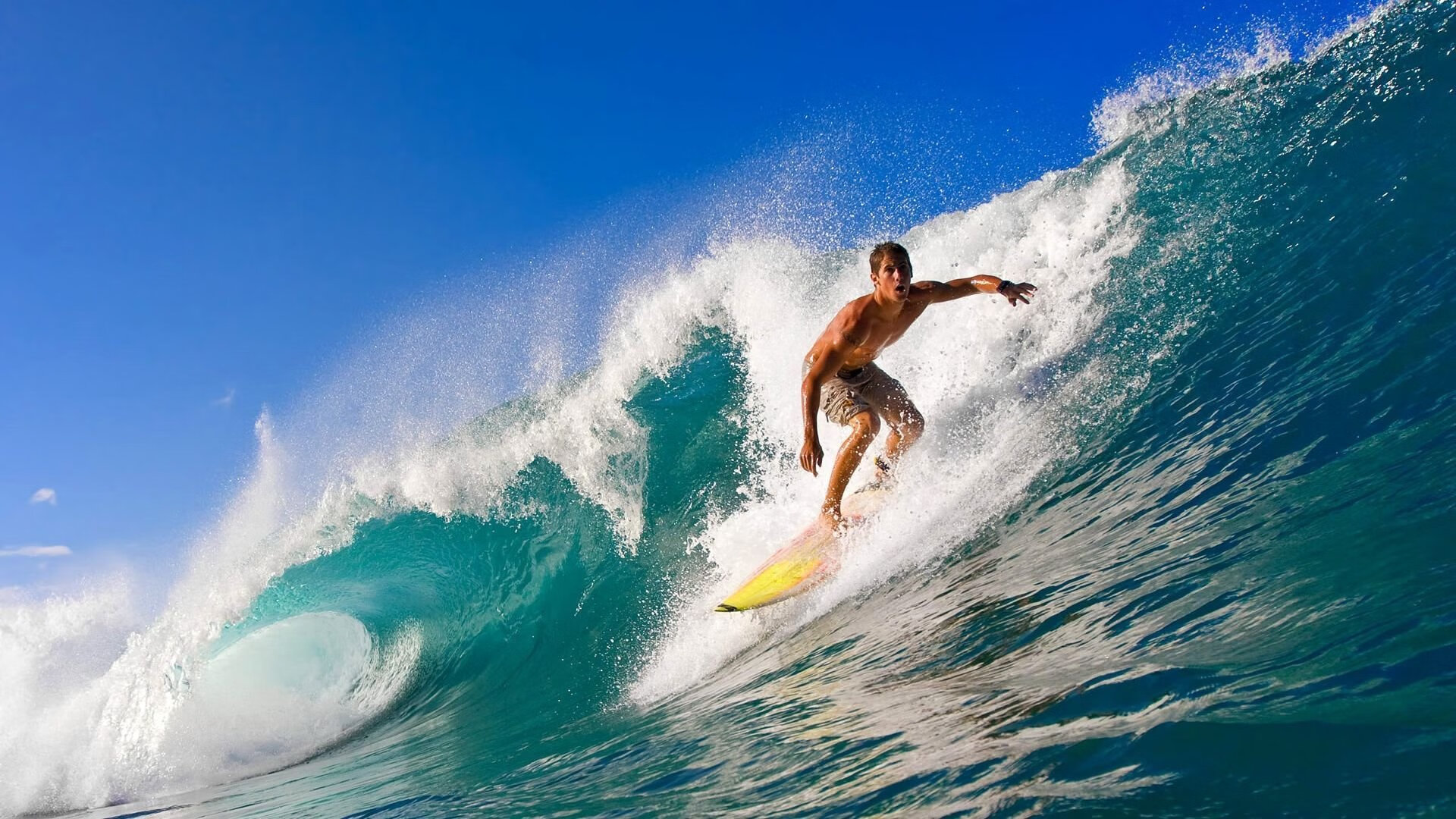 欧冠凸显的战术帝国：各大豪门的战术精髓，欧战冠军